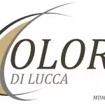 Colori di Lucca Cavaillon