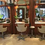 Coiffure Cordyline Strasbourg