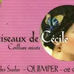 Les ciseaux de Cécile Quimper