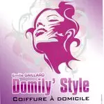 Domily' Style Les-Lucs-sur-Boulogne