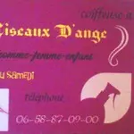 Les ciseaux d'ange Calonne-Ricouart