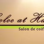 Coloc At Hair Le Porge