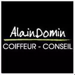 Alain Domin Maisons-Alfort