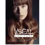 Yséal Coiffure Auxerre