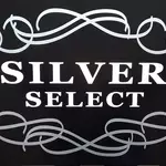 Silver select Vernaison