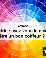 QUIZZ - Colorimétrie : avez-vous le niveau pour être un bon coiffeur ?