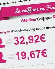 Le marché de la coiffure en France - Infographie