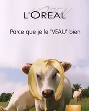 Top 6 des détournements de publicités L'Oréal