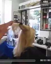 Cette coiffeuse a une technique de coupe complètement incroyable !