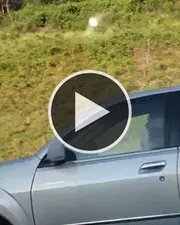 Le comportement de cette femme avec ses cheveux au volant est complètement inconscient !