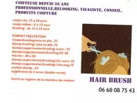 Hair Brus'h Isabelle Le-Plessis-Robinson