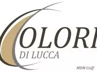 Colori di Lucca Cavaillon