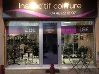 Instinc tif coiffure Simiane-Collongue