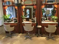 Coiffure Cordyline Strasbourg