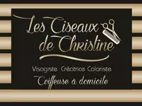 Les ciseaux de Christine Amfreville-la-Mi-Voie