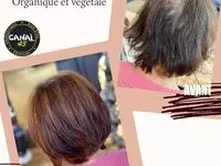 Canal 43 Coiffeur Visagiste Et Végétal Dole