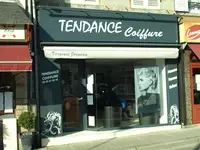 Tendance Coiffure Villedieu-les-Poêles