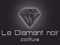 Diamant Noir Paris 03