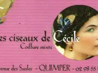 Les ciseaux de Cécile Quimper