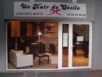 Un Hair de Cécile Parempuyre