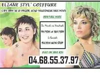 Eliane Styl' Coiffure Villelongue-dels-Monts