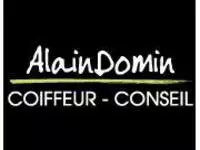 Alain Domin Maisons-Alfort