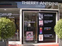 Thierry Antoine Nice