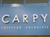 Carpy Coiffeur Tours