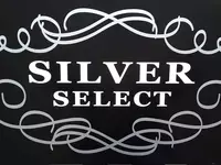 Silver select Vernaison