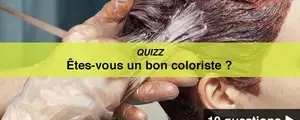 QUIZZ - Êtes-vous un bon coloriste ?