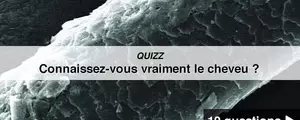 QUIZZ - Connaissez-vous vraiment le cheveu ?