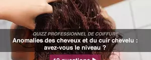 Anomalies des cheveux et du cuir chevelu : avez-vous le niveau ?