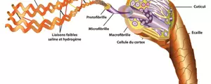 La kératine, quelle promesse pour vos cheveux ?