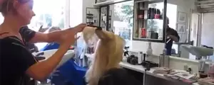 Cette coiffeuse a une technique de coupe complètement incroyable !