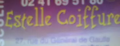 Estelle Coiffure Villevêque