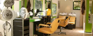 @nelore coiffure Baugé