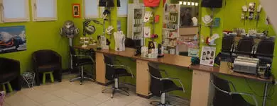 C.V.F Coiffure Fontaine-la-Guyon